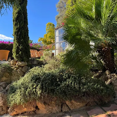 Villa Casa Olene - 400 Year Old Mill In Mijas Pueblo *
